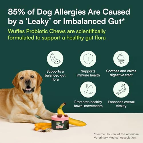 Probiotics for Dogs (60 Chews (Pack of 1))