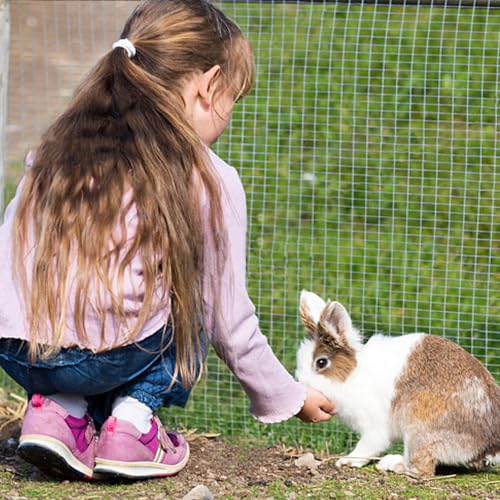 2 Pack Bunny Treats (A / 2 Pack)