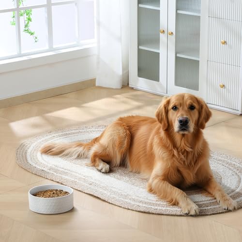 Ceramic Dog Food Bowl (Honeycomb / 6 Cups)