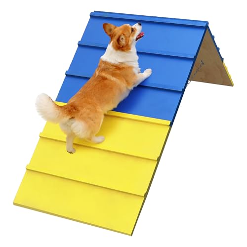 Dogs Agility Course Backyard Set
