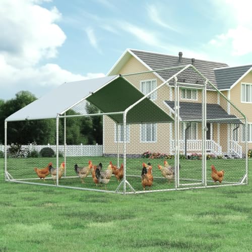 Metal Chicken Coop (157.2"L x 117.6"W x 76.8"H)