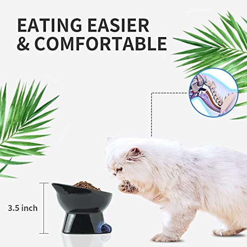 Elevated Cat Bowls (4.5 OZ / Blue & Black)