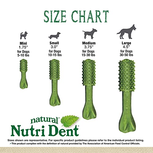 Nutri Dent Dog Dental Chews (5.6 Ounce (Pack of 1))