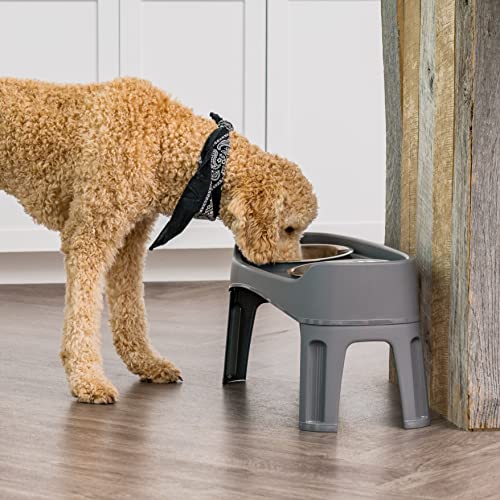 Elevated Dog Bowls (Gray)