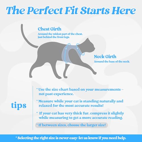 Cat Harness and Leash Set (S / Light Blue)