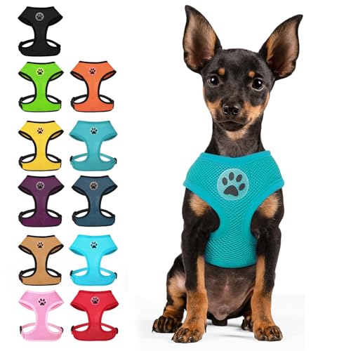 Small Dog Harness (S (NECK: 12", CHEST: 14"-18") / Aqua)