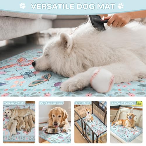 Washable Reusable Pee Pads for Dogs (Blue-03 / 2FT x 2FT (Pack of 2))