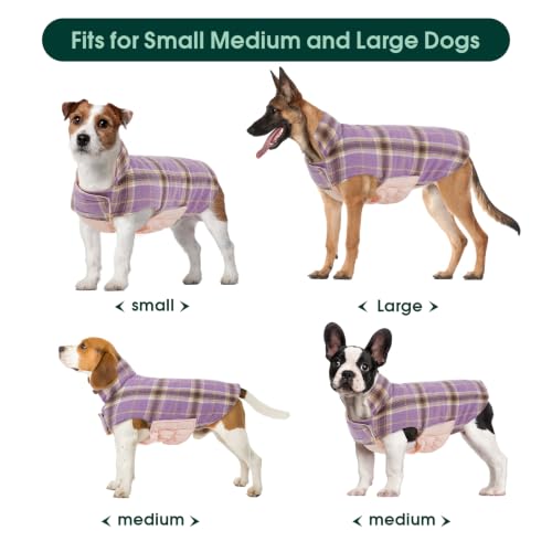 Waterproof Dog Coat (Lavender / Medium (Pack of 1))