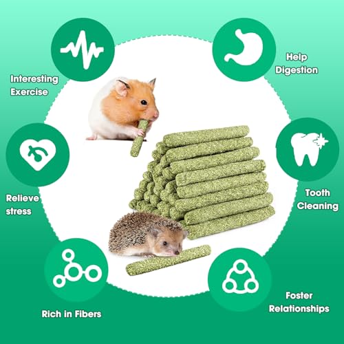Natural Pet Chew Toys Set