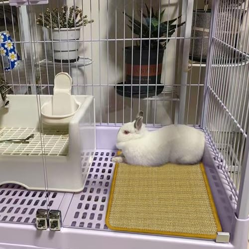 Bunny Scratch Pad (1PC)