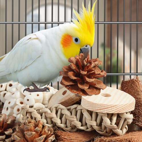 Bird Toys Parrot Natural Bird Foraging Box Foot Toys for Parakeets (Large)