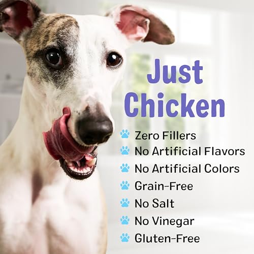 Bark'n Crunch! Chicken Chips (4 Ounce (Pack of 1))