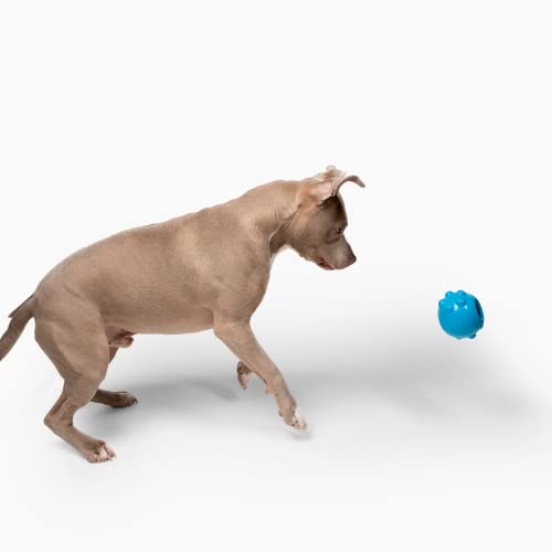 Jolly Dipper Treat Dispensing Dog Toy (Large (4 in))