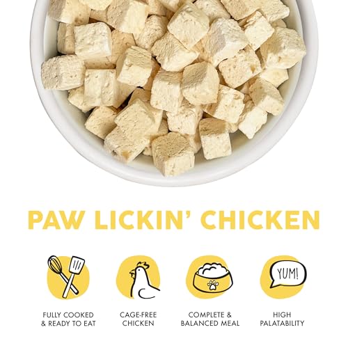 Cat Freeze Dried (1 Ounce (Pack of 1))