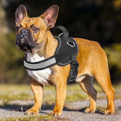 Essential Dog Harness (S / Black)