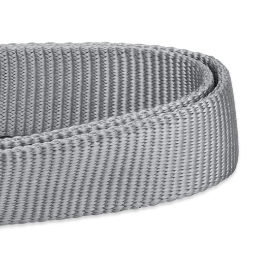 Gray Puppy Collar (Small / Sleet Gray)