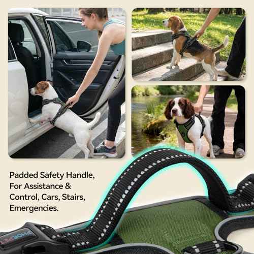No Pull Dog Harness with Handle Reflective Padded Vest (Small / Misty Green)