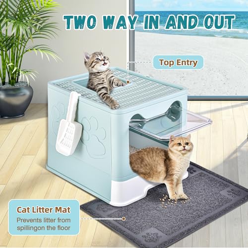 Covered Cat Litter Box (Baby Blue)