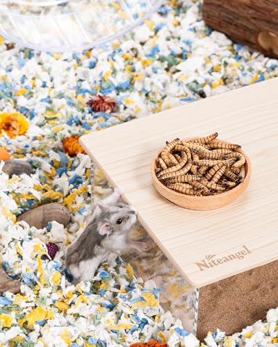 Small Animal Snack & Treats