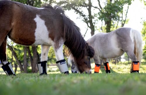 Warrior Fly Boots for Horses (Lil Warrior / Red)