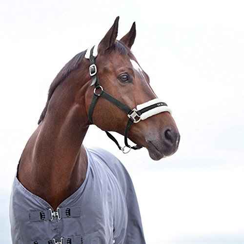 Howard Soft Fleece Horse Halter (Pony / Black)