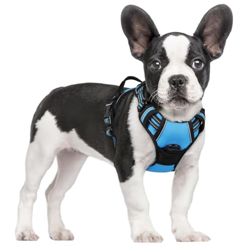 Dog Harness No Pull for Small Dogs with 2 Leash Clips (Small / Blue)