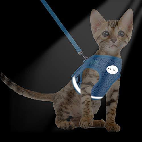Cat Harness and Leash Set (XS (Chest: 6" - 8") / SkyBlue)