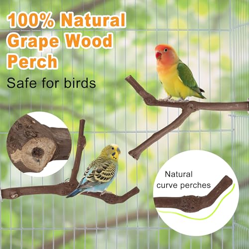 7PCS Natural Grape Wood Bird Perch Set Bird Cage Accessories Sticks (7PCS Perches Platform Swing Set)