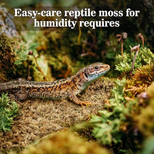 Sphagnum Moss for Reptiles & Plants (3.5 Ounces / Yellow Green)