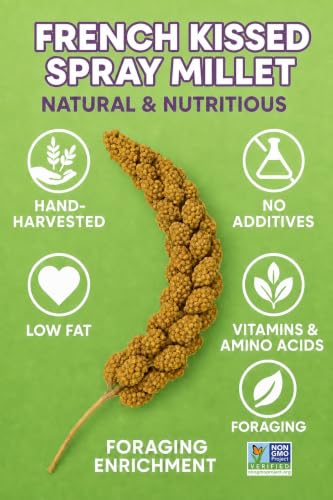 2lbs French Kissed Spray Millet for Birds (2lb)