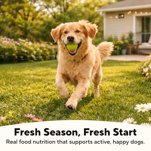 Restricted Sodium Diet Dog Food (13.2 Ounce (Pack of 12))