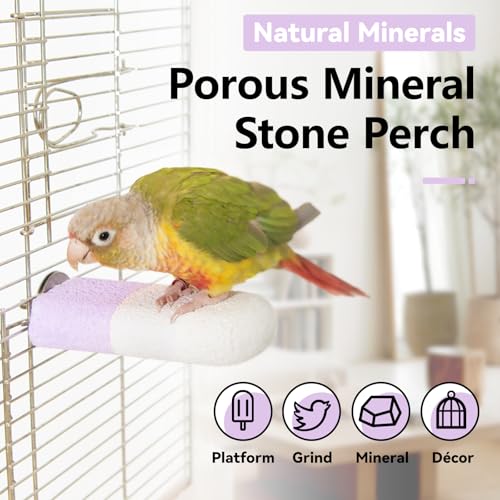 Mineral Bird Perch (Gradient Purple / 4.7")