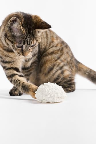 Cassava Cat Litter (5.3lb×1bag)