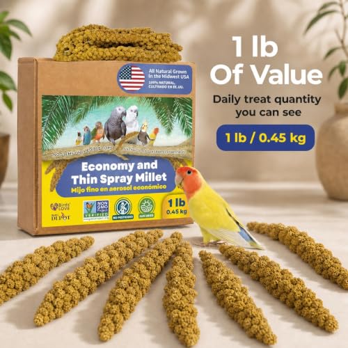 1lb Economy & Special Spray Millet for Birds (1 Pound (Pack of 1))