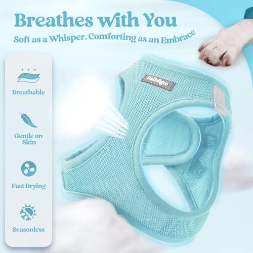 Dog Harness Small Sized and Leash Set (Mint Blue / Xxxs (chest: 10.8 - 11.8"))