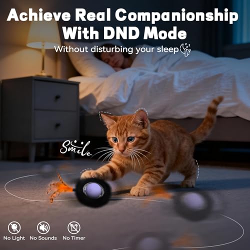 Interactive Cat Toy (No Cat No Life)