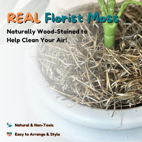 Original Hidden Litter Box Planter (Broad Leaf Philodendron / Base Kit / Pebble Gray)