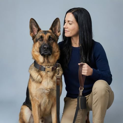 PU Leather Dog Collar for Large Dogs (Black / XL: Neck 20-27", Width 1¼")