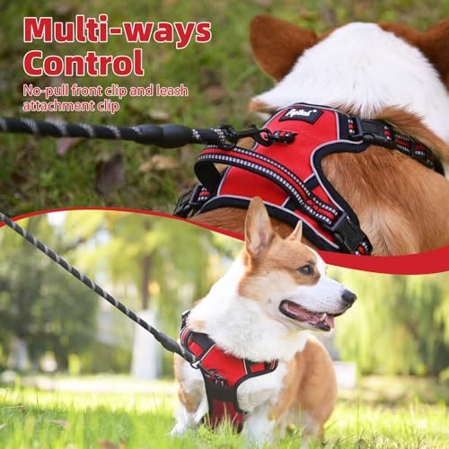 No Pull Dog Harness Medium Sized (Red / Medium)