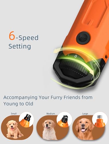 6 Speed Dog Nail Grinder& 3 Grinding Heads with 2 LED Lights