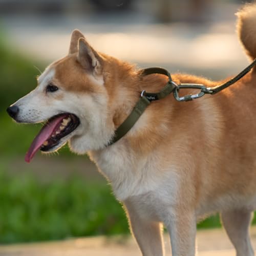 Martingale Dog Collars for Medium Dogs (Medium / Army Green)