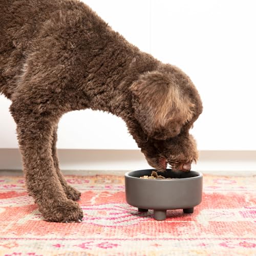 Uplift Elevated Ceramic Dog Bowl (Large / Speckle)
