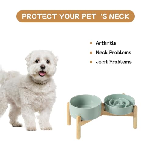 Elevated Slow Feeder Dog Bowls (Light Green)