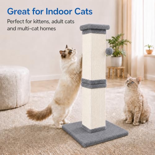 Cat Scratching Post for Indoor Cats (Light Gray)