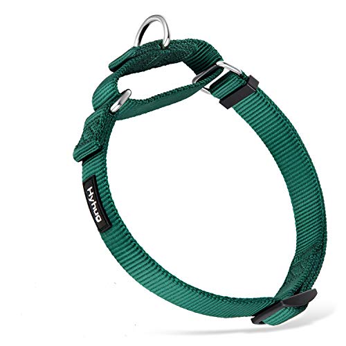 Martingale Collar for Dogs (Large / Dark Green)