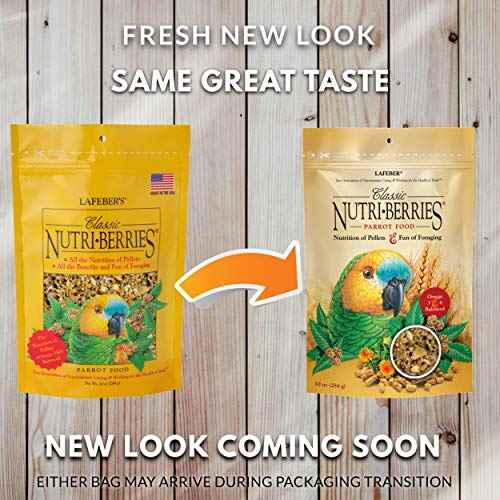Classic Nutri (10 Ounce (Pack of 1))