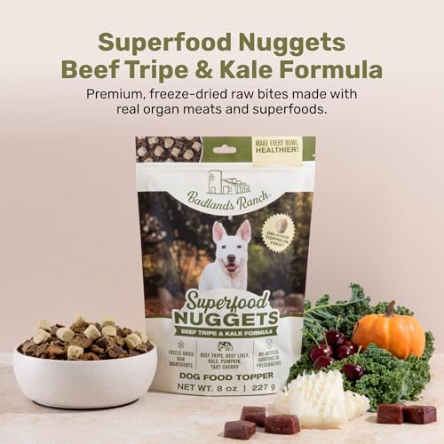 Superfood Nuggets (8 Ounce (Pack of 4))