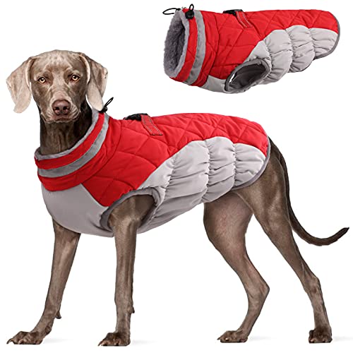 Dog Coat for Large Dogs (Red / L(chest:24in))