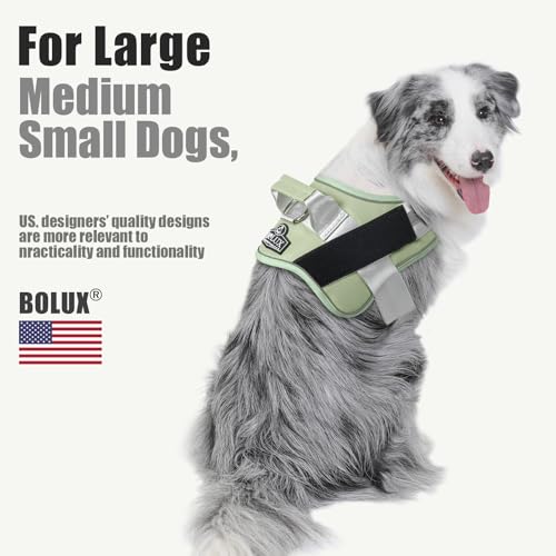 Dog Harness No (Large (Pack of 1) / CreamGreen)