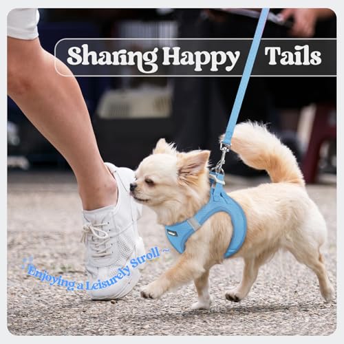 Dog Harness Small Sized and Leash Set (Blue / S (chest: 15.1 - 16.5"))